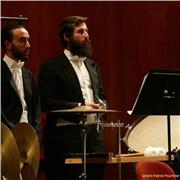 Insegnante diplomato in Percussioni impartisce lezioni private di Solfeggio, Percussioni e Batteria
